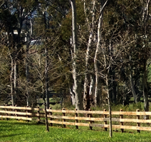 timberwood fences